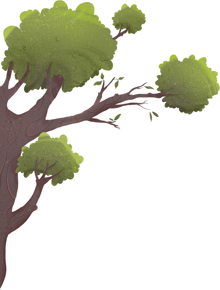 Tree image